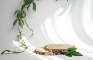 screenshot 2026 03 12 at 10.16.42